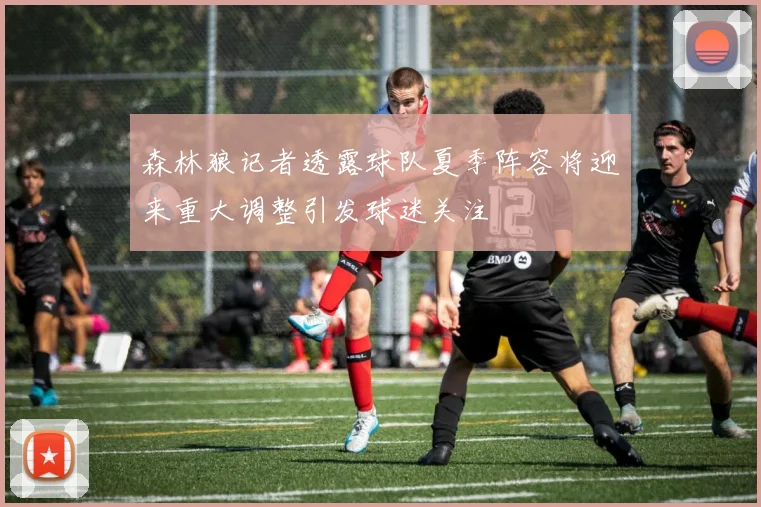 森林狼记者透露球队夏季阵容将迎来重大调整引发球迷关注